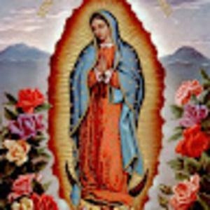 Meet your Posher, Mia